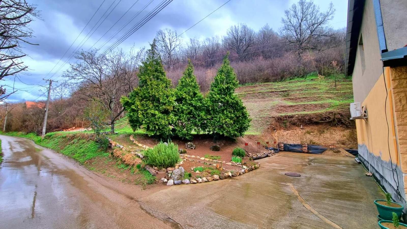 "Luxury Country House" Nis-Niska Banja Luaran gambar